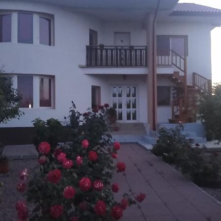 Hotel Casa Doina à Douăzeci şi Trei August Extérieur photo