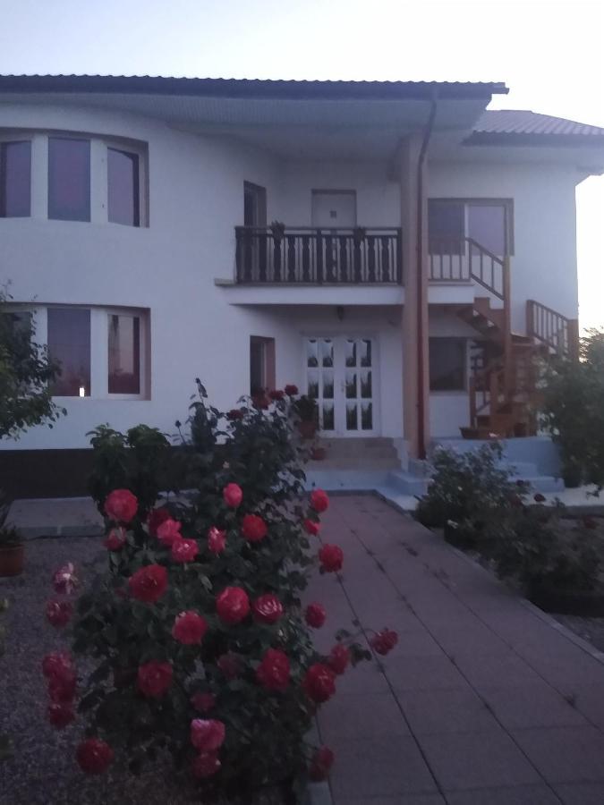 Hotel Casa Doina à Douăzeci şi Trei August Extérieur photo