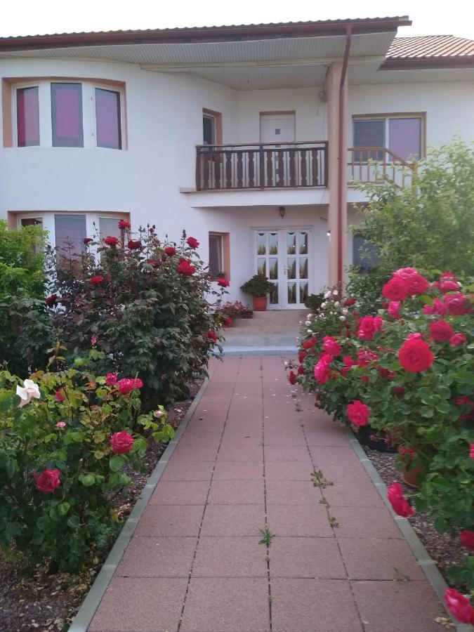 Hotel Casa Doina à Douăzeci şi Trei August Extérieur photo