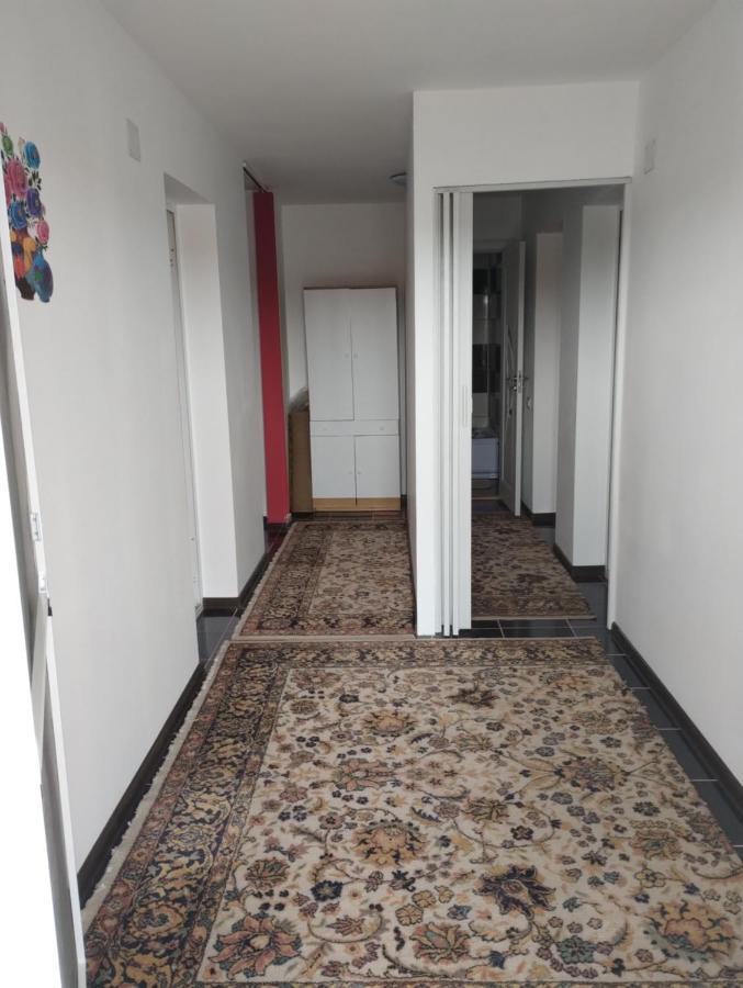 Hotel Casa Doina à Douăzeci şi Trei August Extérieur photo