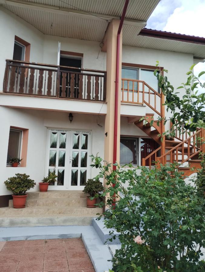Hotel Casa Doina à Douăzeci şi Trei August Extérieur photo