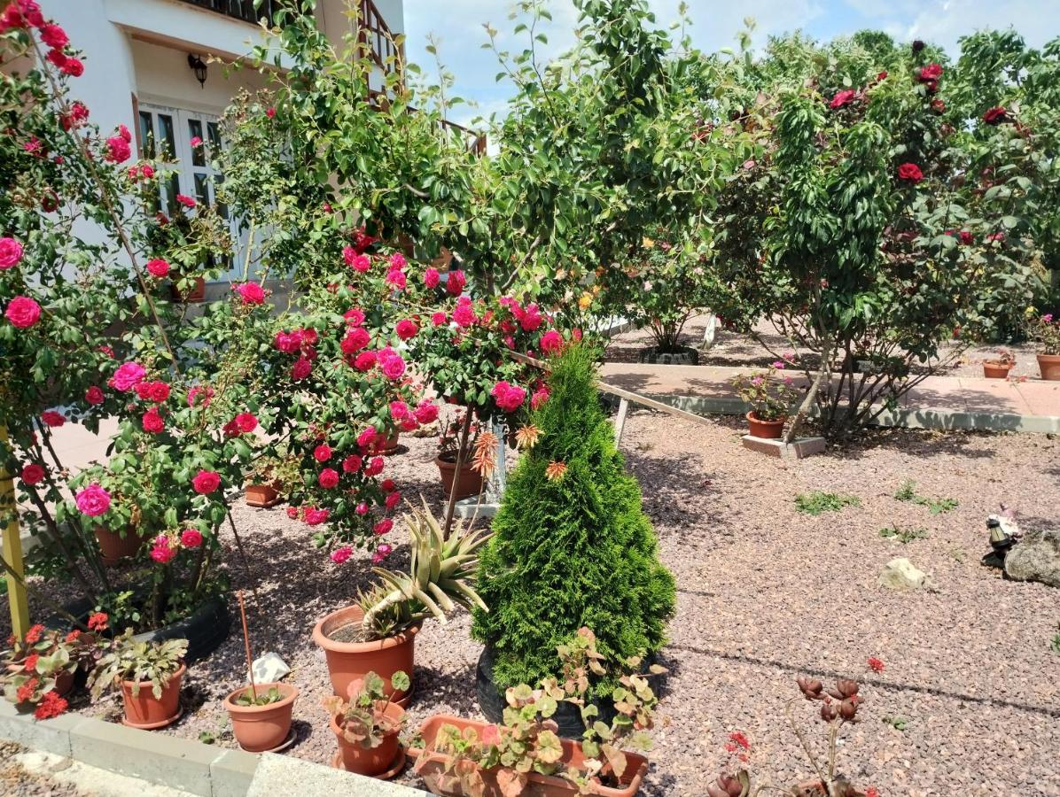 Hotel Casa Doina à Douăzeci şi Trei August Extérieur photo